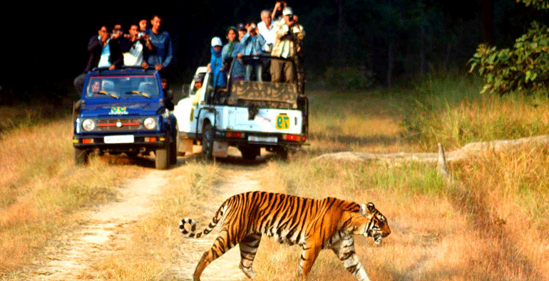 nainital corbett image